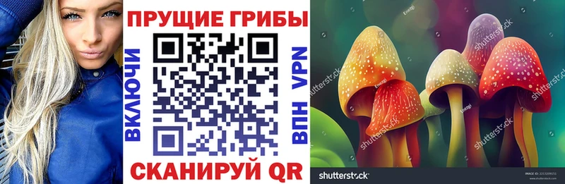 мега как зайти Барабинск Галлюциногенные грибы ЛСД